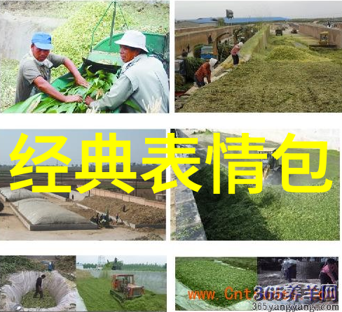 逗比动漫角色带你穿越至另一个更加奇妙的世界经典漫画人物大集合介绍篇