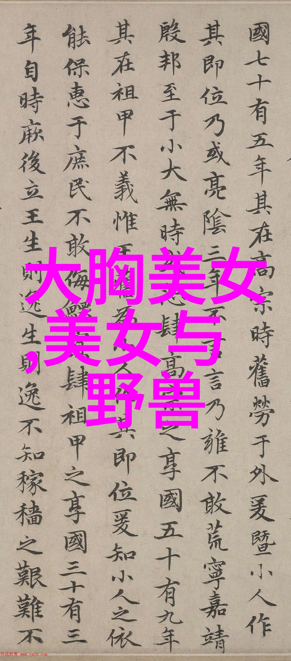早晨的温柔抚慰情话问候中的诗意绽放