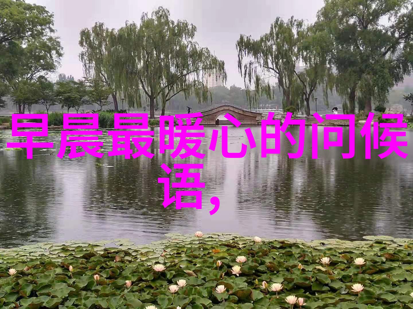 黑暗镜头三十万人心跳骤停的惊魂瞬间