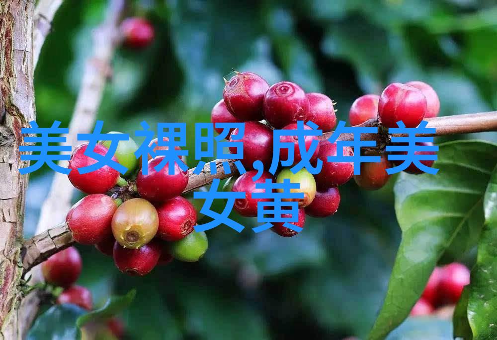 心灵之间的桥梁难以铺设人心换不来的沉思