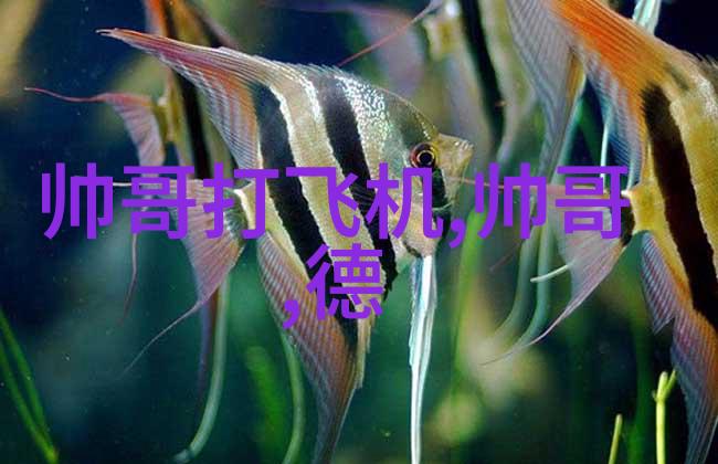免费聊天app不用充钱我这就教你怎么玩