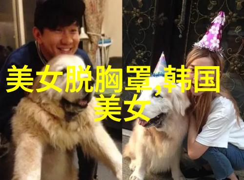 韩国电影花木兰评价分化豆瓣评分引发关注