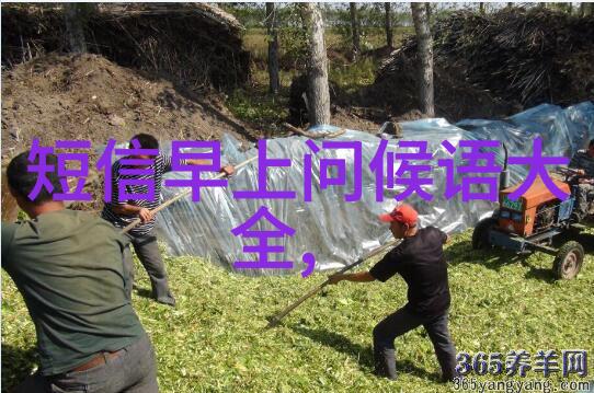 苗族节日花开满谷的欢歌