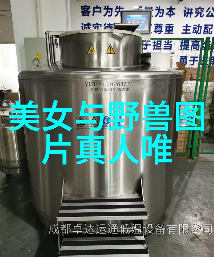 探秘动漫世界中的英俊英雄们