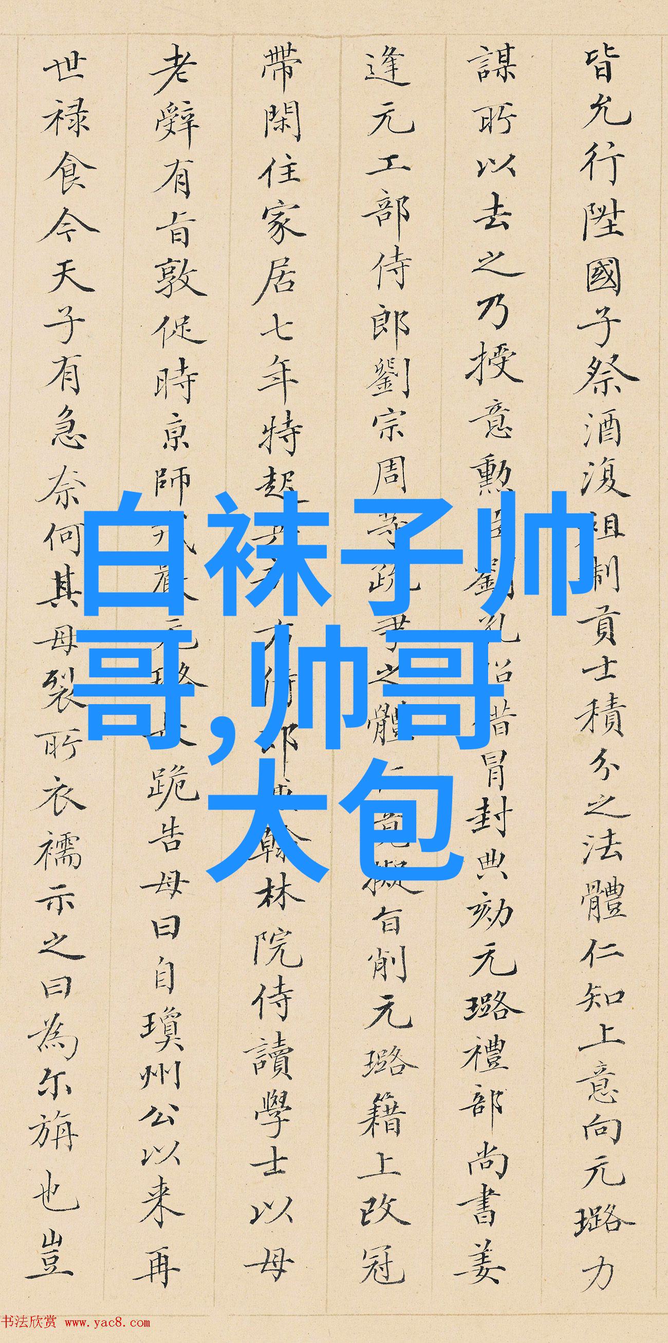 美国黑人历史月份追忆过去展望未来