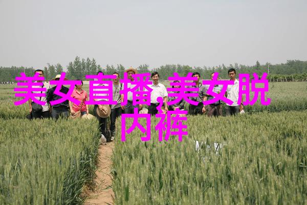 中国汉字演变过程(图)-探索古今中国汉字演变的轨迹