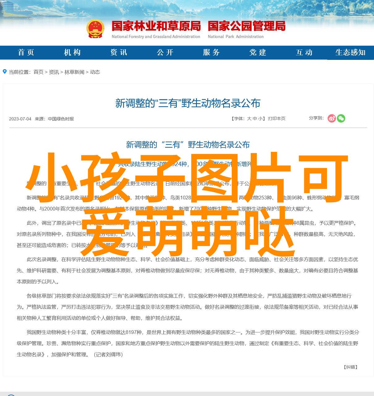 超越时代永恒风范那些经典動畫里的永恒帅气角色