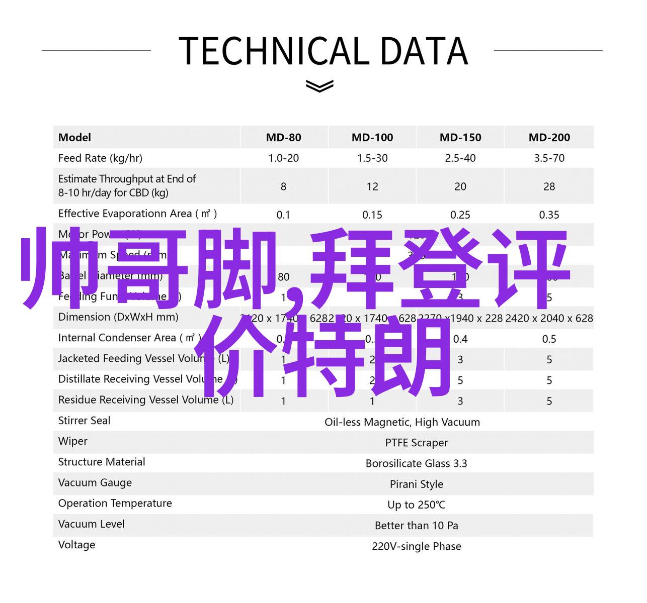 我眼中的日本女明星她们的光芒我见过的那些闪耀的日本女星