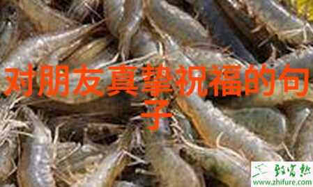 男子汉的悲歌沉默中的痛苦
