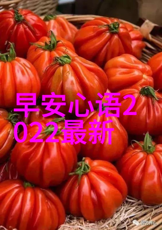 易经全文完整版白话文我和老子聊聊天从易经的智慧中寻找生活的答案