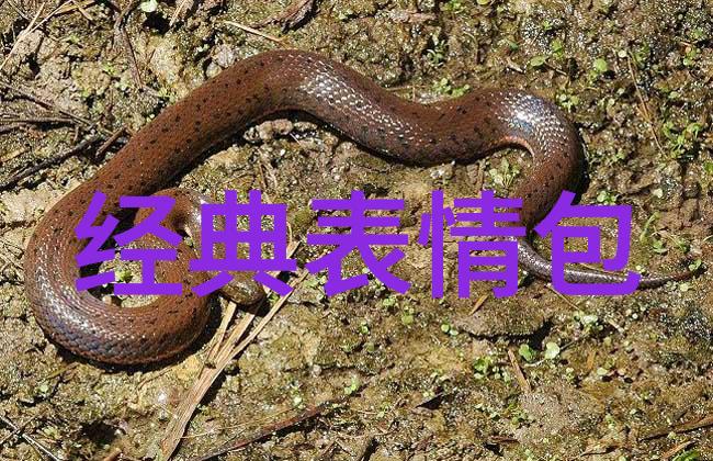 恐怖艺术-一张吓死30万人的诡异照片背后的故事与心理解读