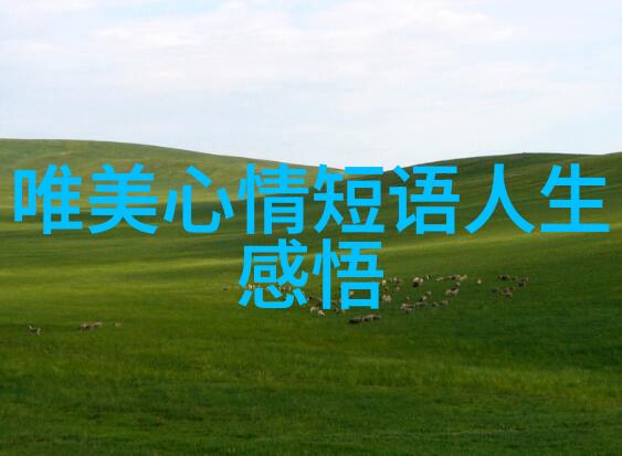 这位明星背后的勤奋学习生活