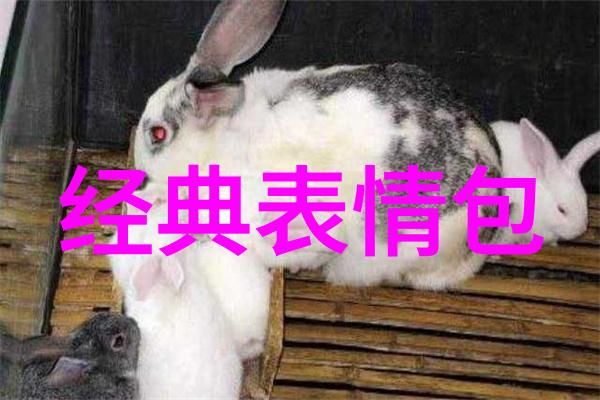文化节日 - 11月的庆典探索这一月份的各国传统节日