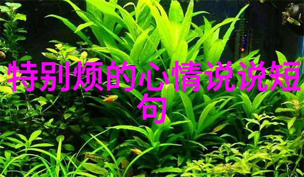 看透人心的智慧深度理解他人的内在世界