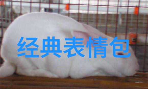 42岁美女身材火辣相貌年轻 身穿三点秀巨乳翘臀
