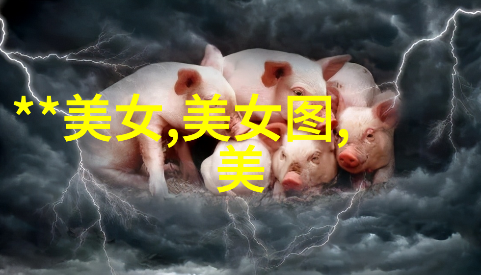 网络世界的无限可能探索www.05eee.com的奇妙之旅