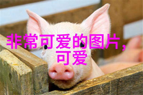 微信群聊的力量如何更好地利用群组功能提升沟通效率