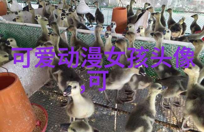 苍兰诀一共多少集大结局 苍兰诀小兰花自刎后怎么样了 苍兰诀东方青苍是王