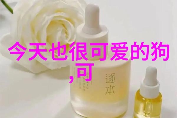 掌握常用汉字大全10000个关键词汇带拼音学习指南
