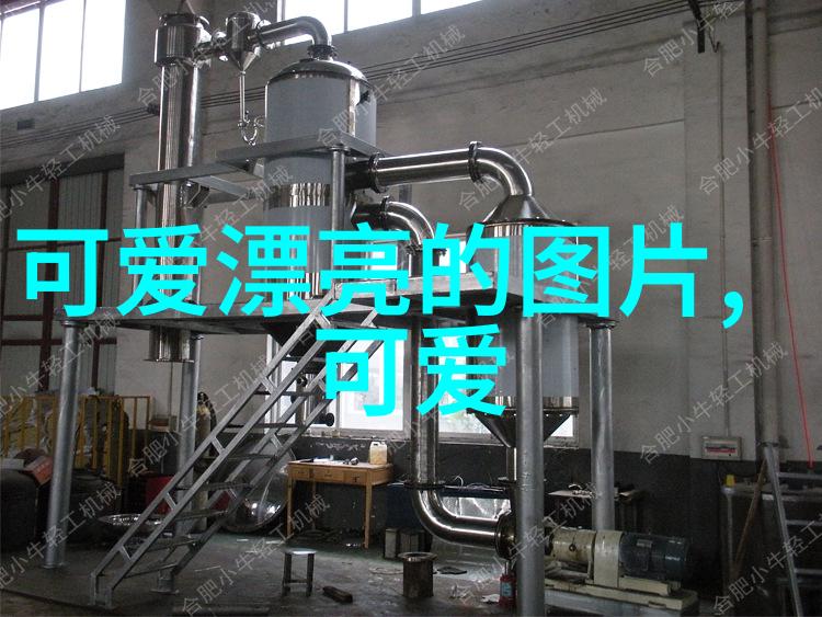 女明星我是如何在红毯上遇到她的
