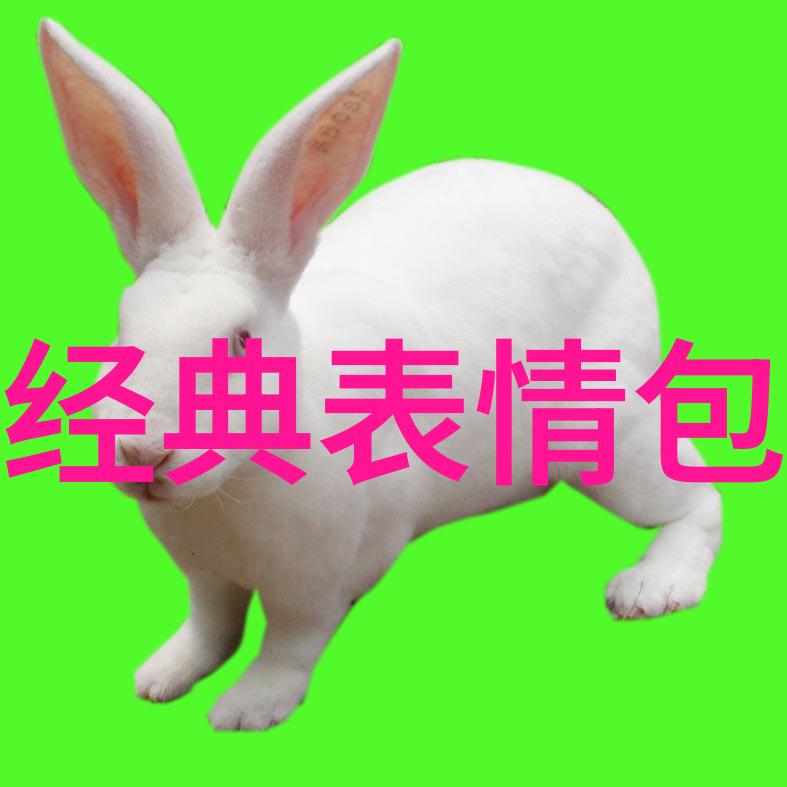 温柔年代剖析那些塑造了最佳配对印象的经典作品