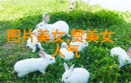 网络上的甜蜜风景分析流行不可思议漂亮可爱图片现象