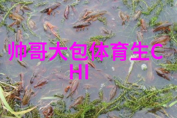 心语绘卷女人的每一句都是情感的展开