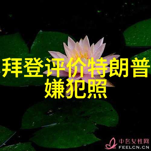微信界面上的女子形象变迁从2019到2022年的转变分析