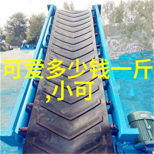 藏族的传统节日-雪域春暖探索藏族的丰富传统节日