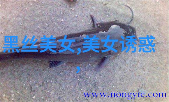 爱情密码中文字幕电影浪漫情侣的甜蜜故事