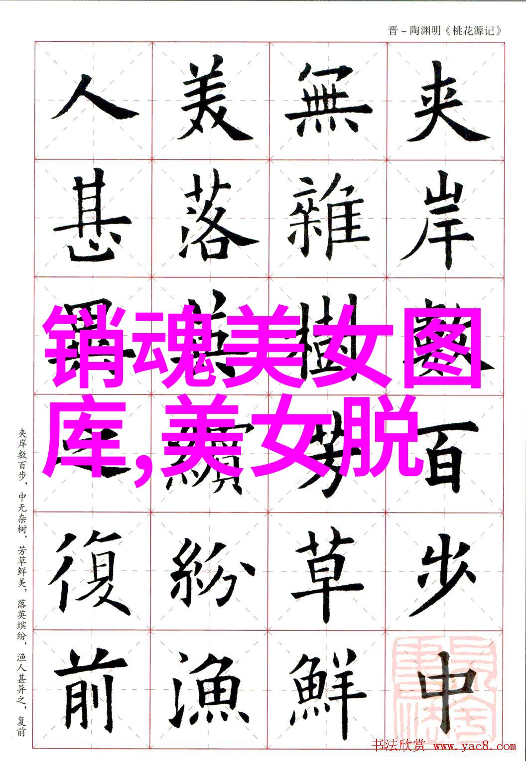 星光变换明星的脸庞奇迹