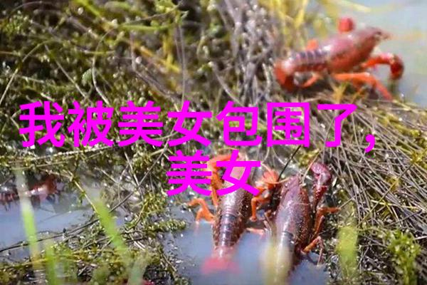 东方美男绚烂的同性爱情故事