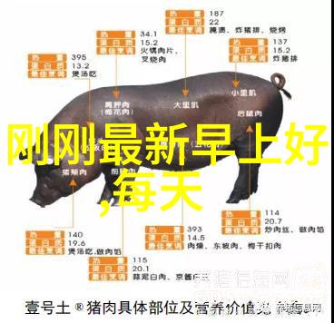 卡通手绘女生头像的基本要素是什么