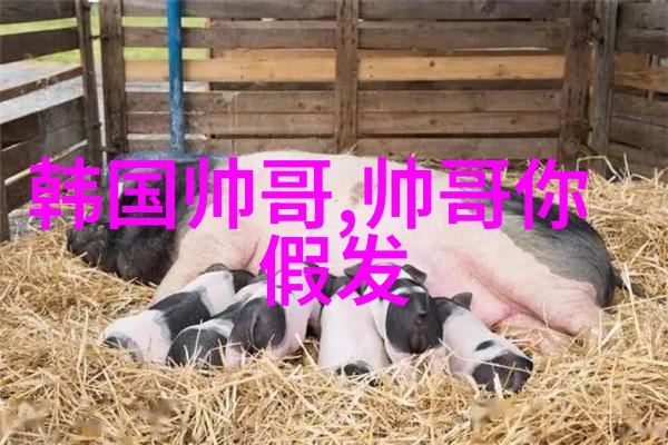 从零到英雄如何创造一个既专业又吸引人的工作群名称