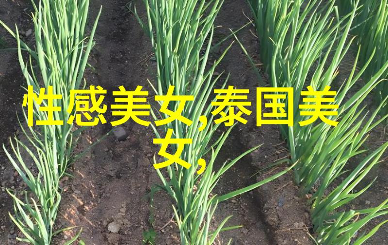 刘亦菲陈晓梦华录与左耳电视剧何时播出该剧在社会背景下讲述了怎样的结局介绍