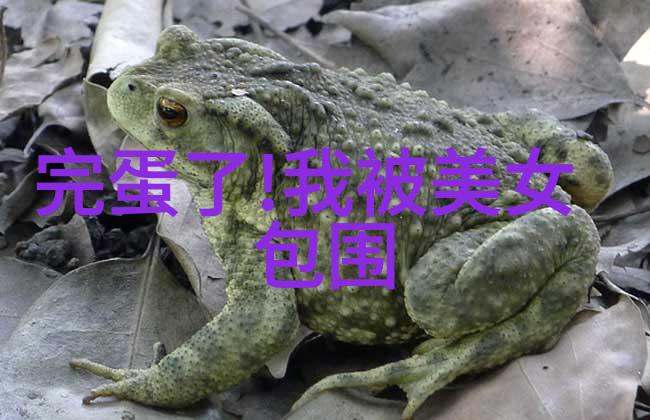 好看恐怖片排行榜前十名-惊悚影界前十佳好看恐怖片