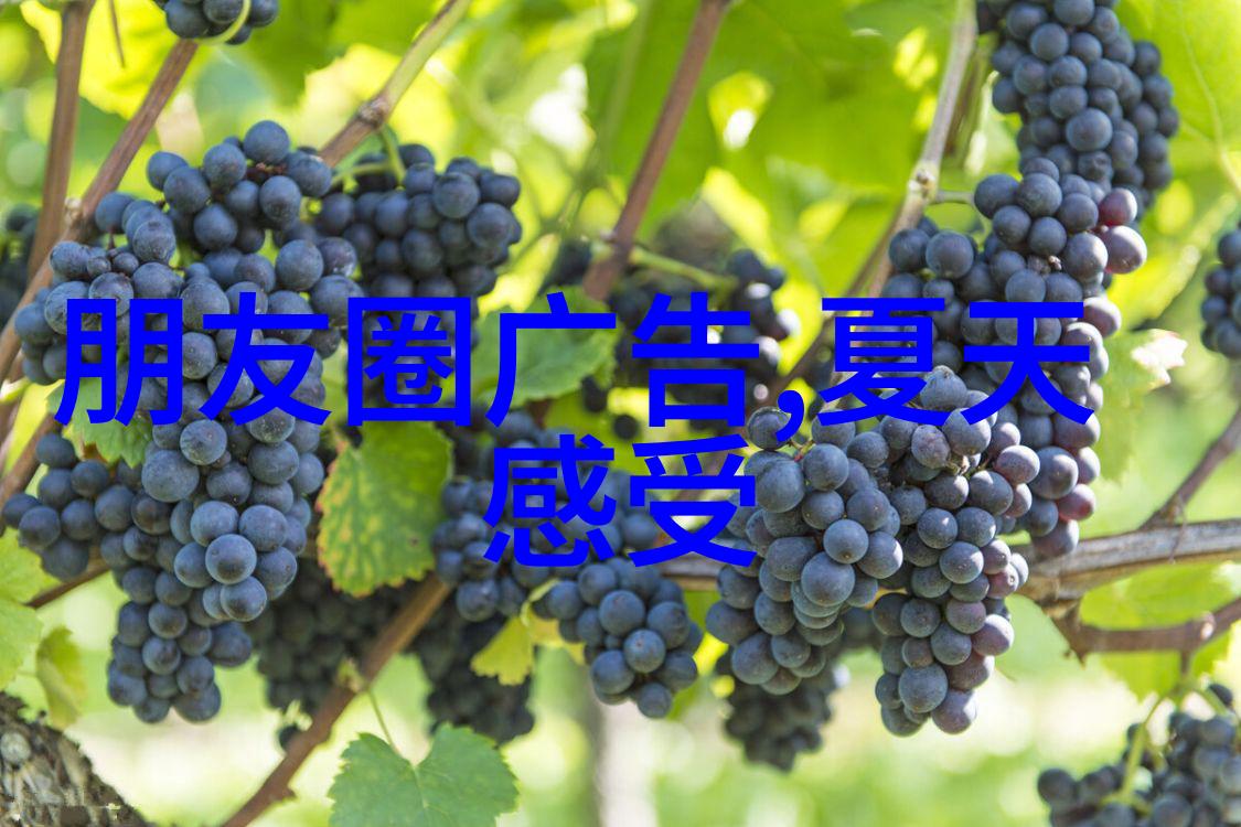 超可爱的小女孩 - 小天使的微笑一个关于纯真的故事