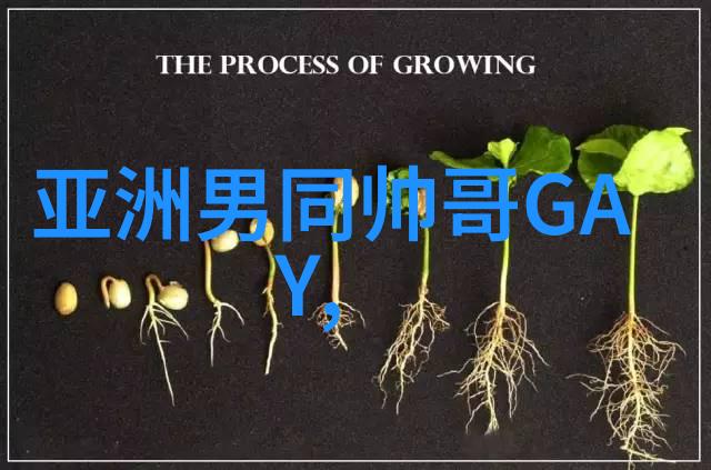 从无尽对话到深厚关系不限时长聊天软件成就者们的故事