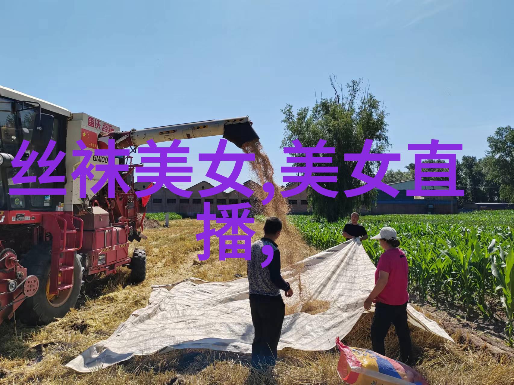 为什么一些足球篮球等高薪运动项目中的球员会选择退役早化