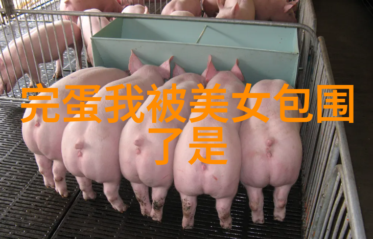 探秘明星世界揭开第五季案件的神秘面纱