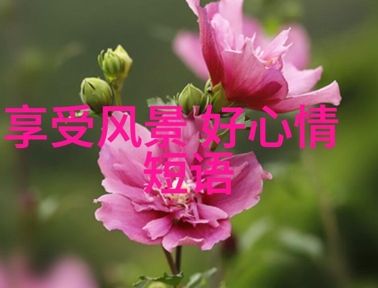 如何正确管理微信群大全
