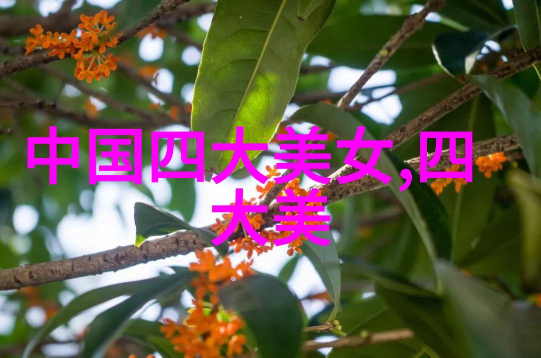 心情治愈技巧提升生活质量的方法