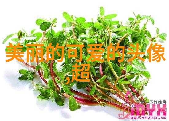 恐怖电影经典10部惊心动魄的顶级恐怖片