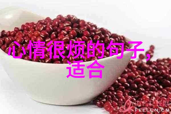 汉字之旅书写基础的秘密花园