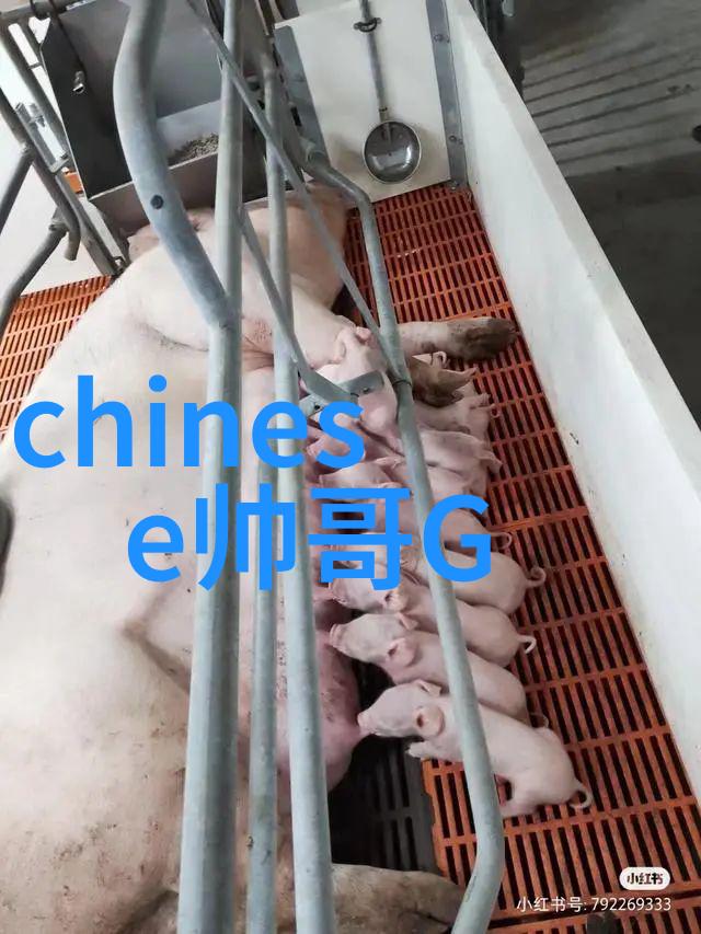 最流行个性的微信昵称 续梦