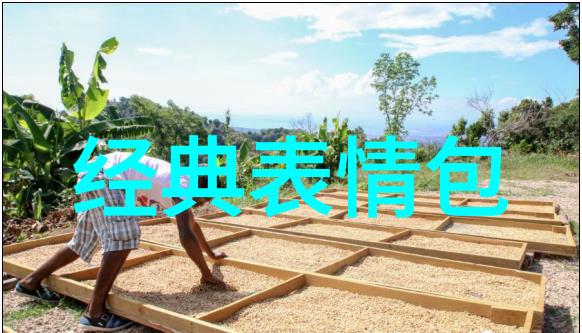 重庆隧道中的孤魂网红摩托车手的悲剧故事