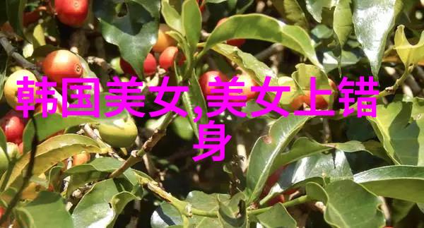 美女总裁萧晨的全能兵王之旅萧晨的军事生涯与商业帝国
