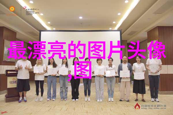 美女画像展览揭秘数字131背后的艺术与魅力
