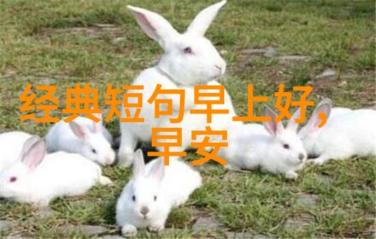 香港帅哥城市风情中的英俊男子画像