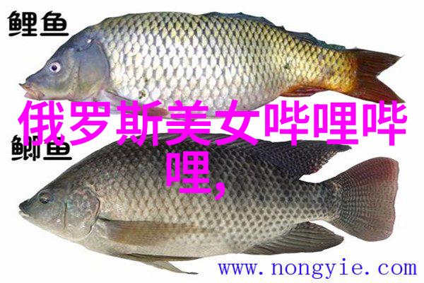 气质网名女清冷设计50个你会喜欢哪一个